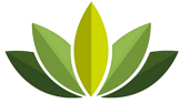 Logo 2
